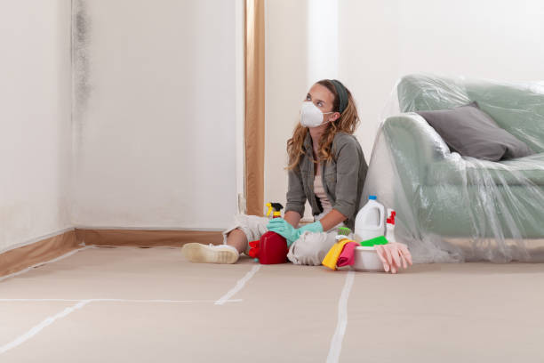 Reliable Mold Cleanup contractor in Riverside, NJ by Cheap Mold Removal